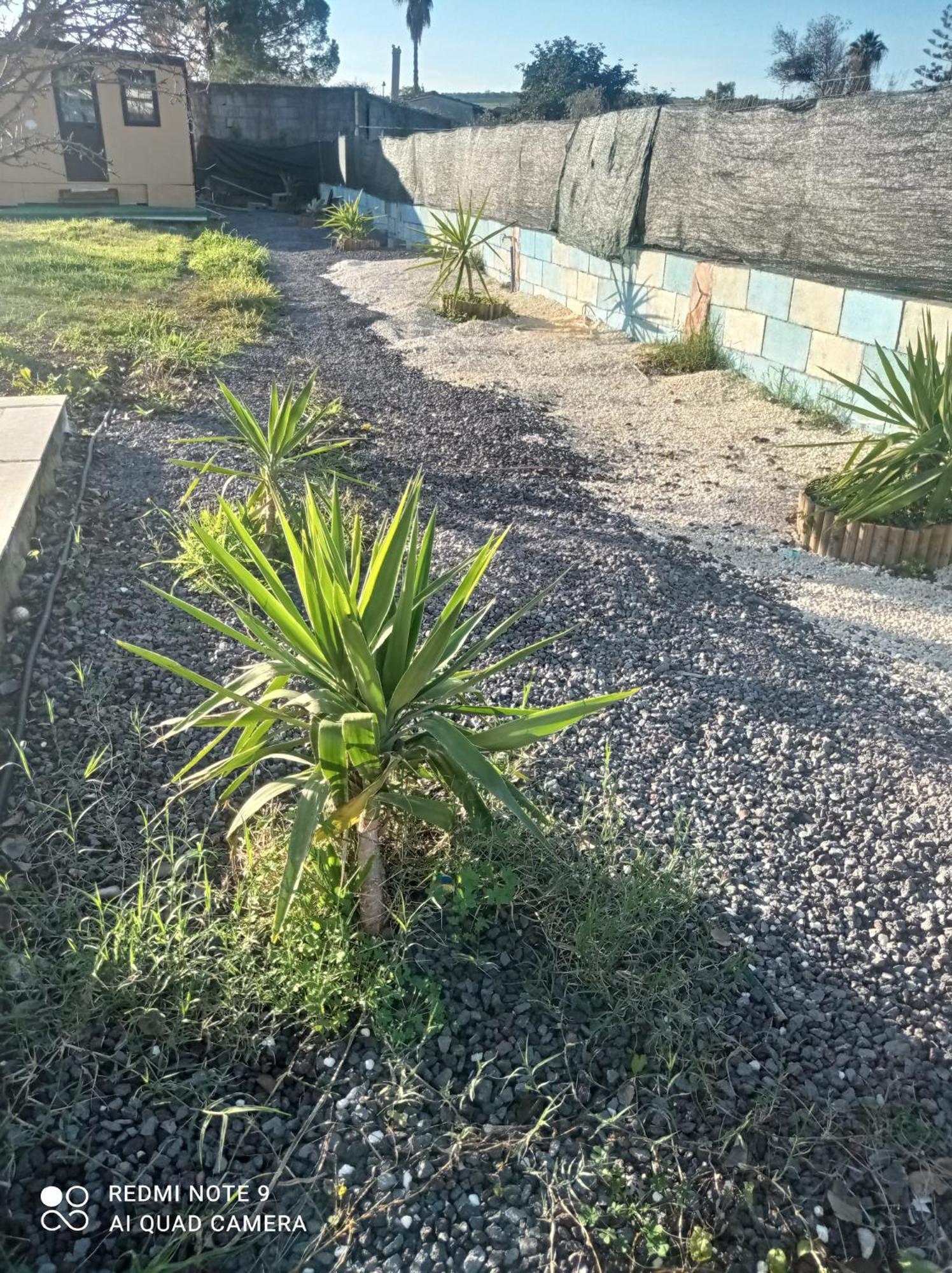 Villa Mirko Vaccarizzo-Delfino Exterior foto